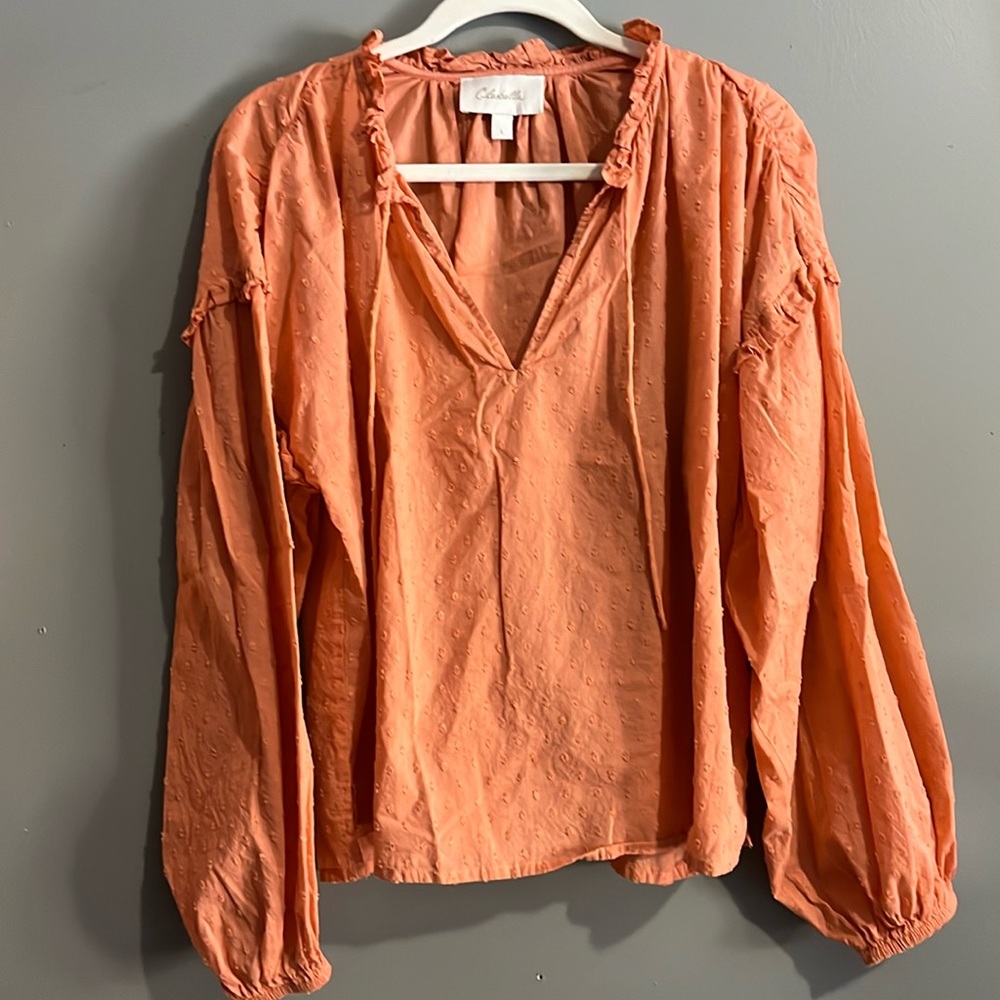 Tie neck puffy sleeve blouse with ruffle accent in peach